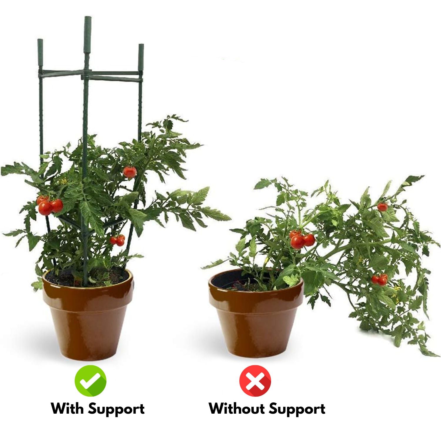 Plant Support Cages 3 Sets with Accessories Tomato Support Noveden Green