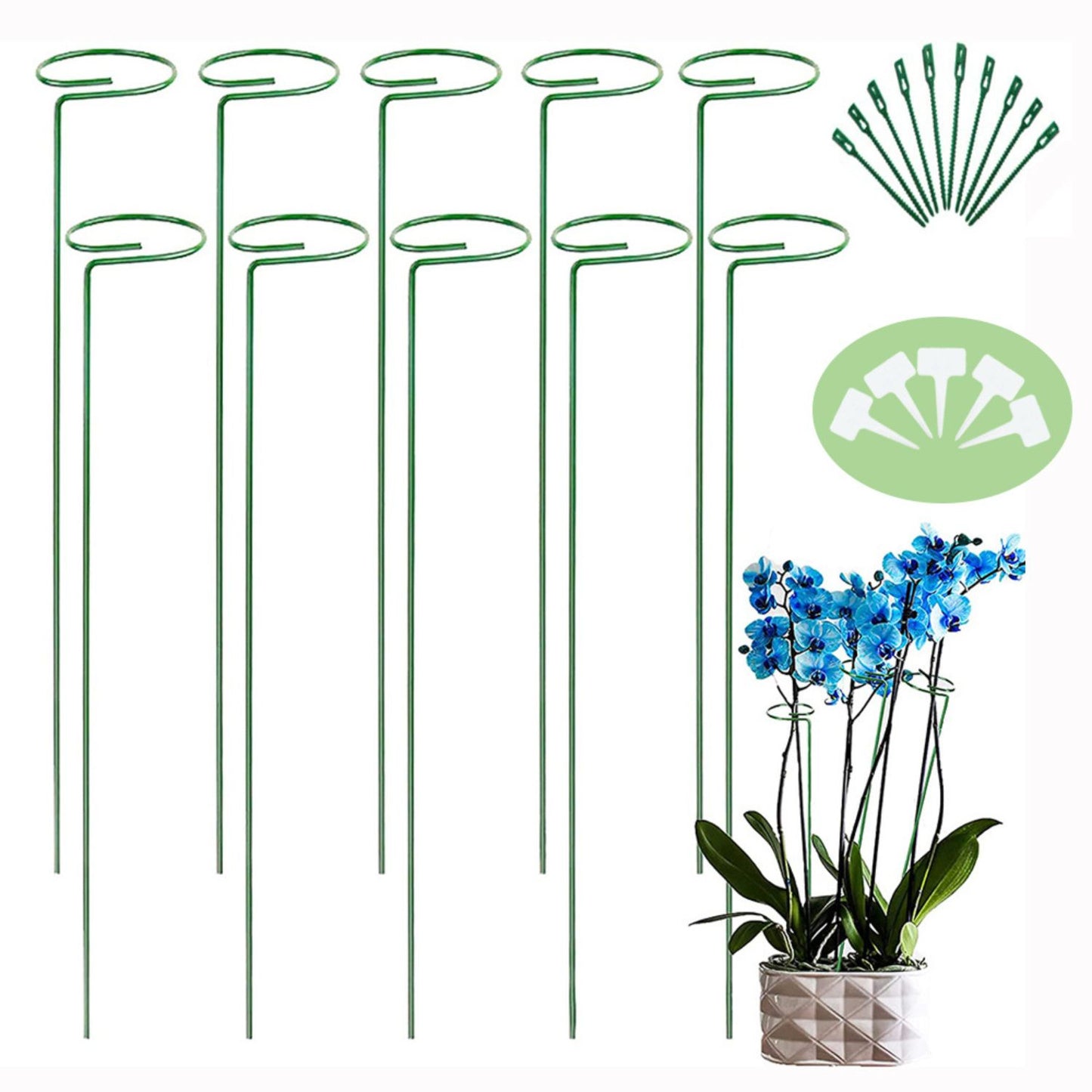 Plant Support Stakes 10pcs Flower Stake Single Stem Support Garden Noveden Green