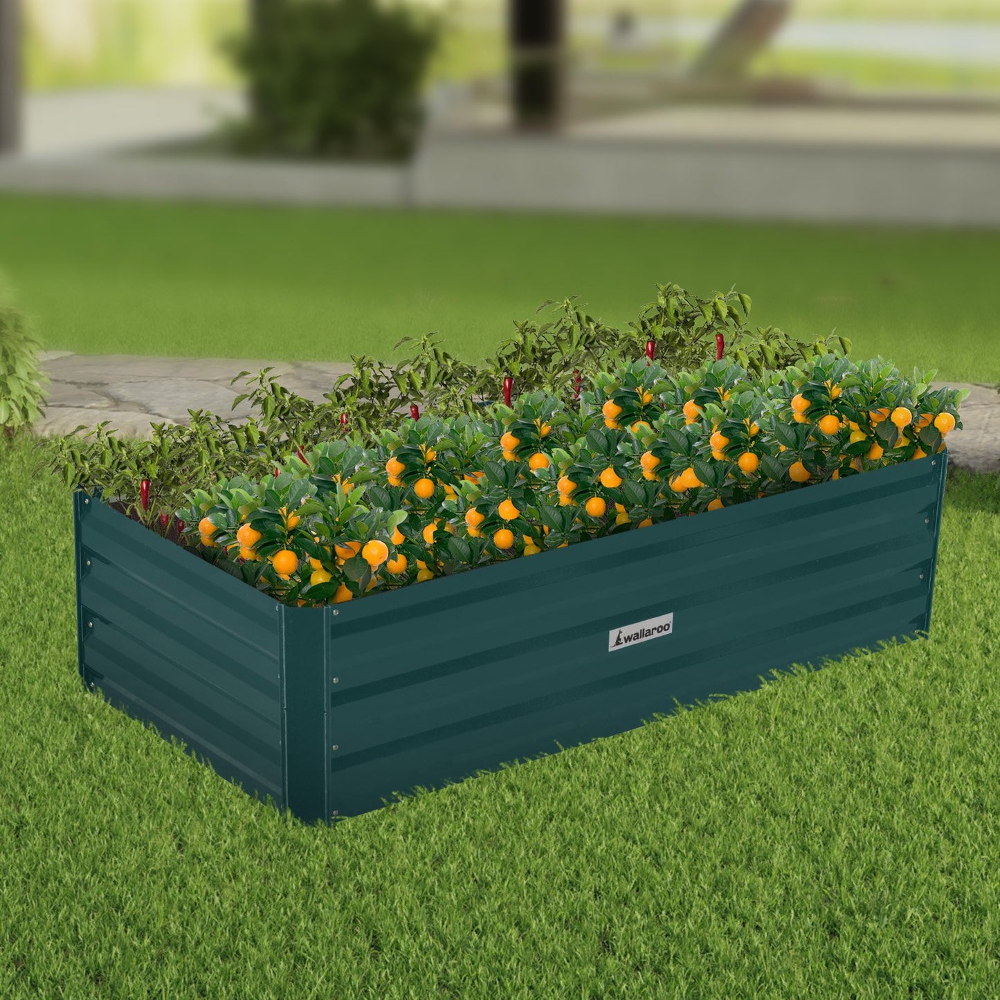 Garden Bed | Wallaroo | 120 x 60 x 30cm | Galvanized Steel - Green