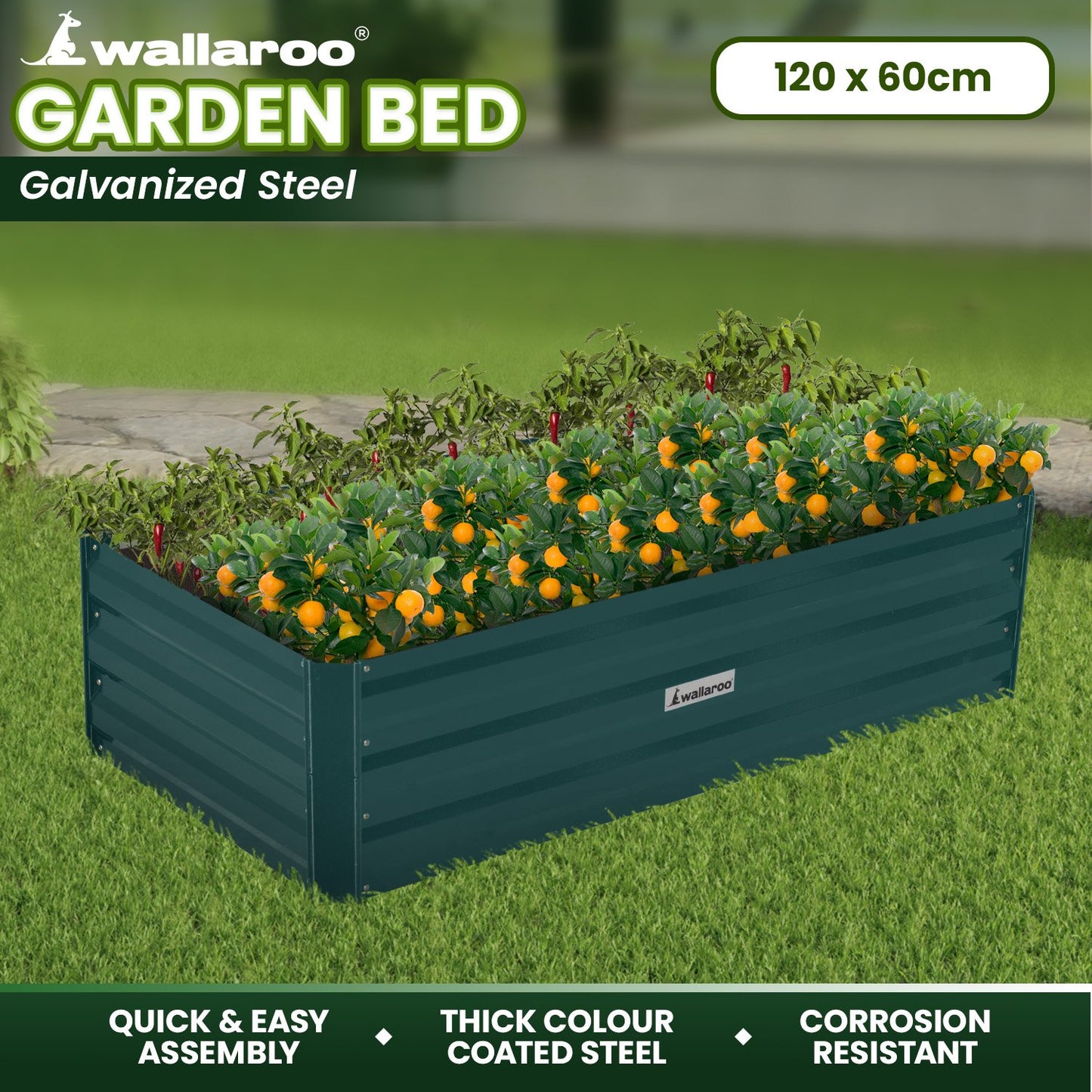 Garden Bed | Wallaroo | 120 x 60 x 30cm | Galvanized Steel - Green