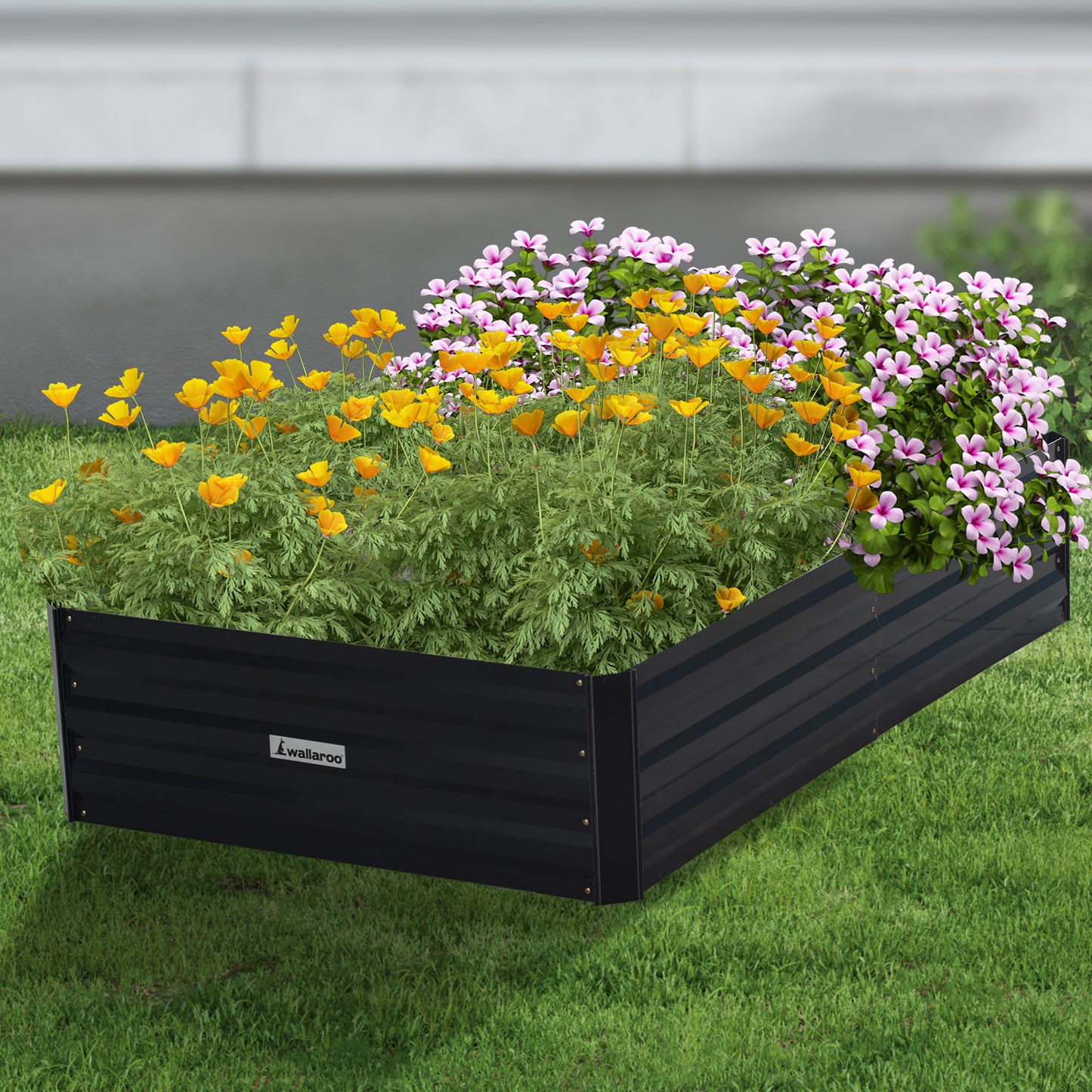 Garden Bed | Wallaroo | 150 x 90 x 30cm | Galvanized Steel - Black
