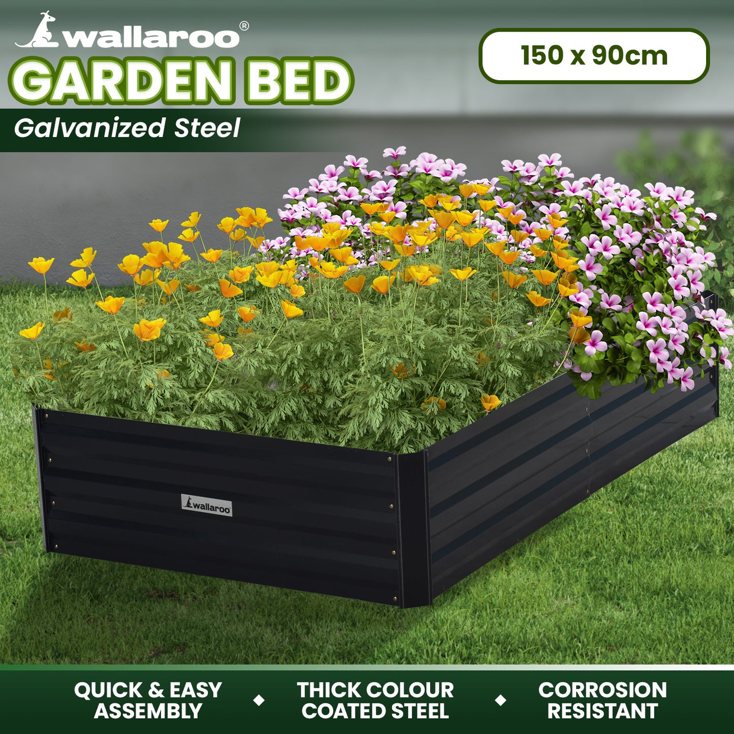 Garden Bed | Wallaroo | 150 x 90 x 30cm | Galvanized Steel - Black