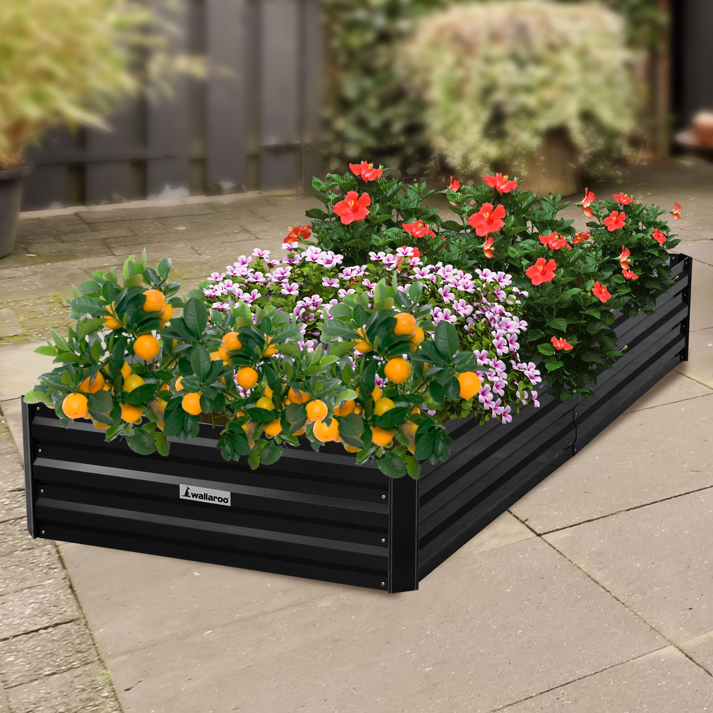 Garden Bed | Wallaroo | 210 x 90 x 30cm | Galvanized Steel - Black