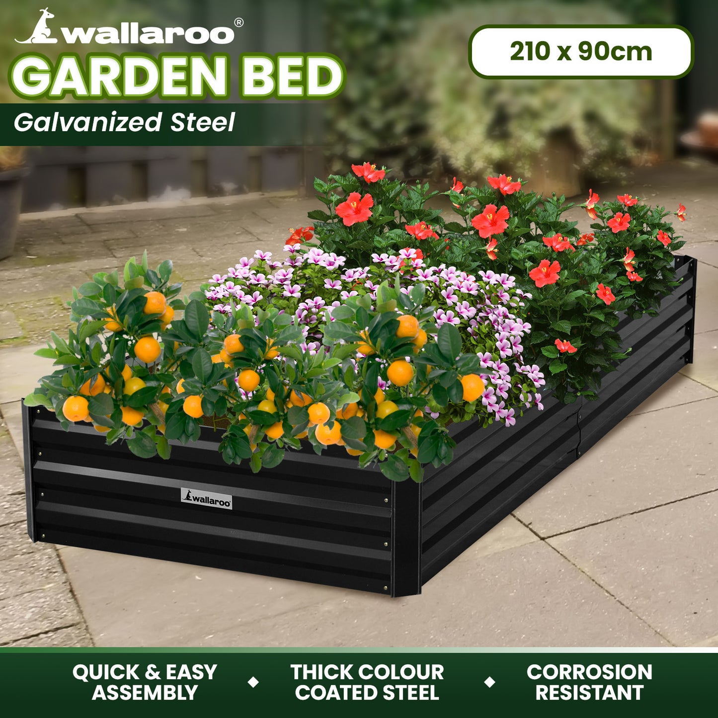 Garden Bed | Wallaroo | 210 x 90 x 30cm | Galvanized Steel - Black