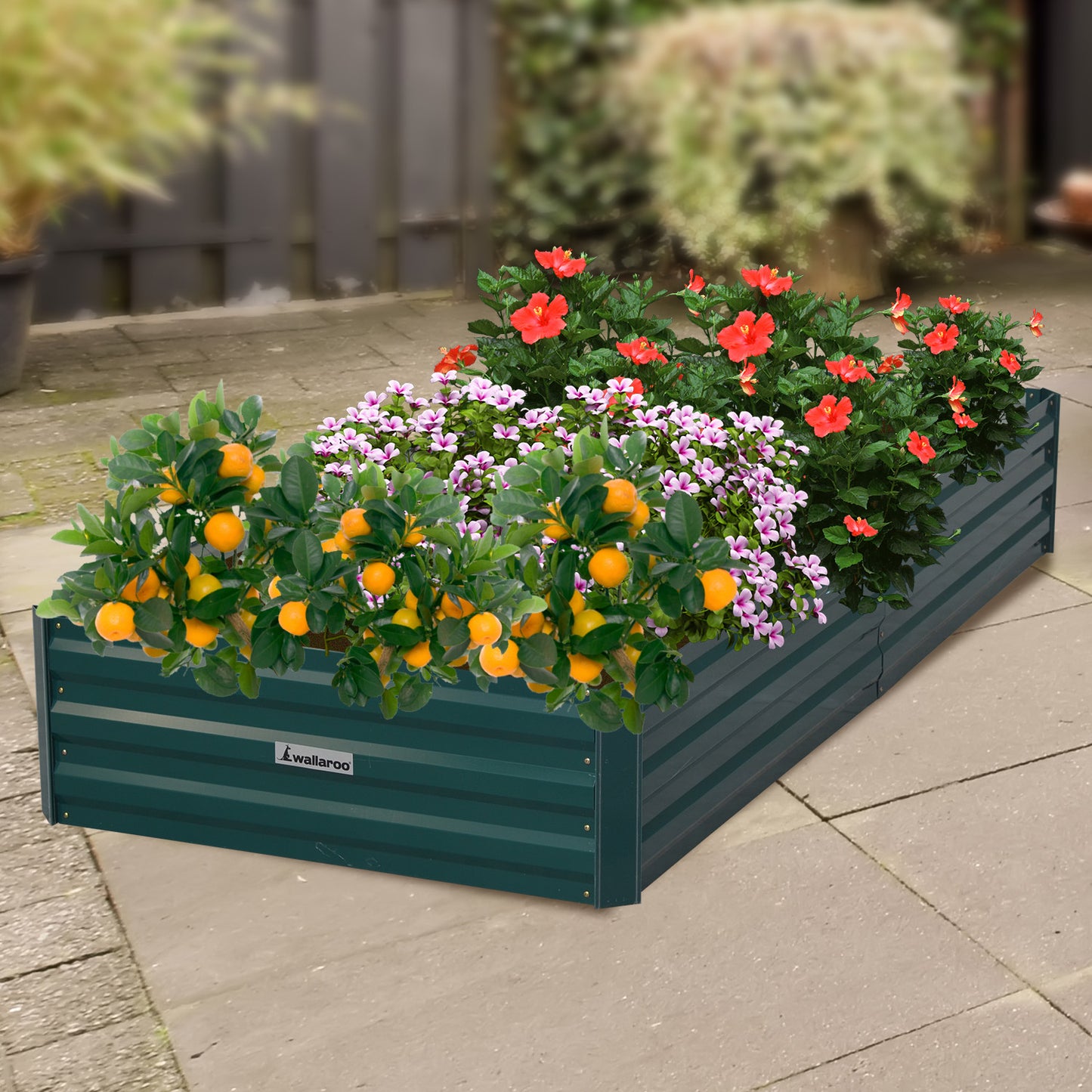Garden Bed | Wallaroo | 210 x 90 x 30cm | Galvanized Steel - Green