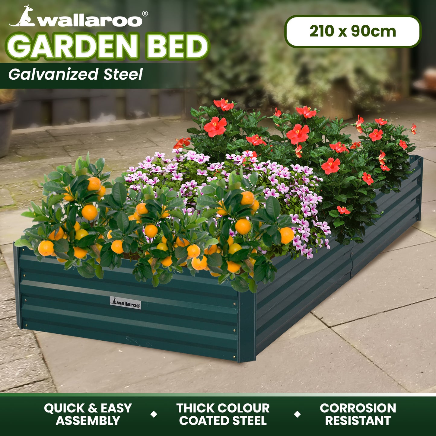 Garden Bed | Wallaroo | 210 x 90 x 30cm | Galvanized Steel - Green