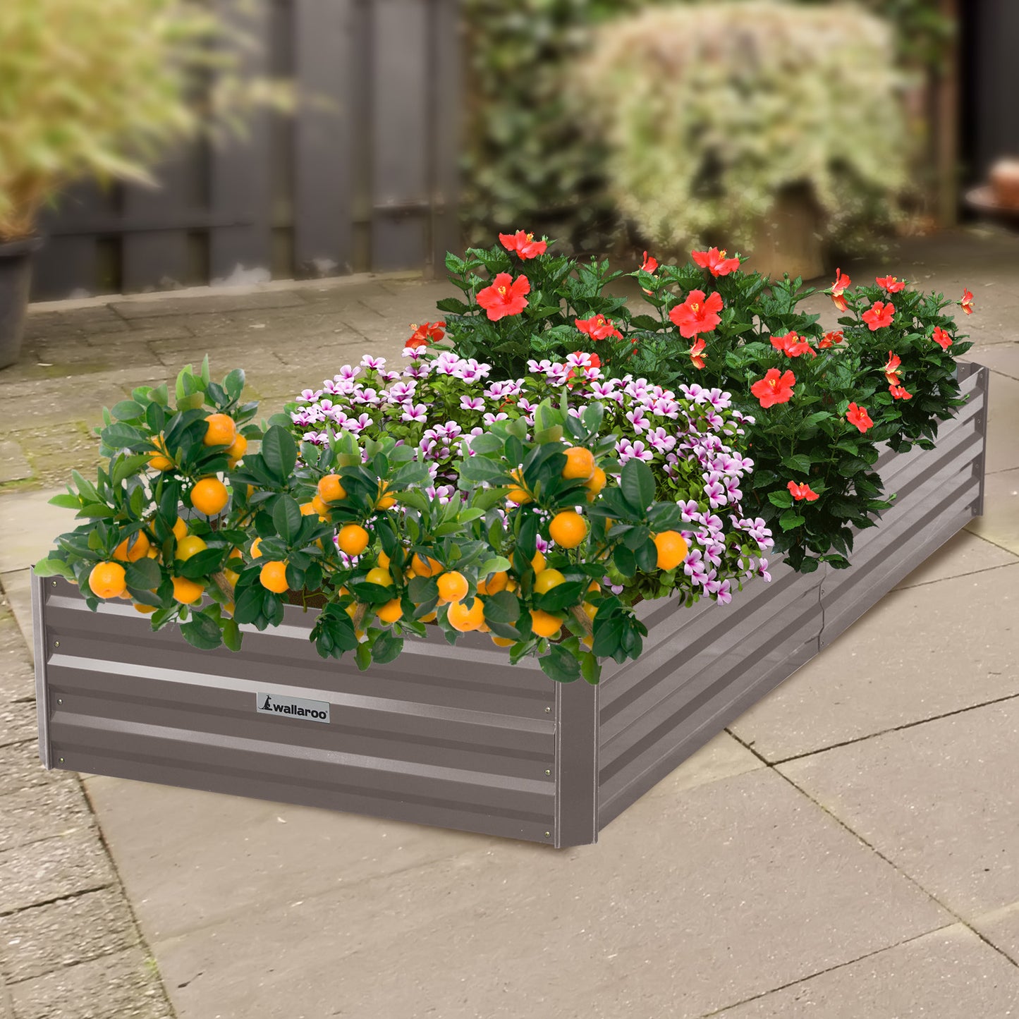 Garden Bed | Wallaroo | 210 x 90 x 30cm | Galvanized Steel - Grey