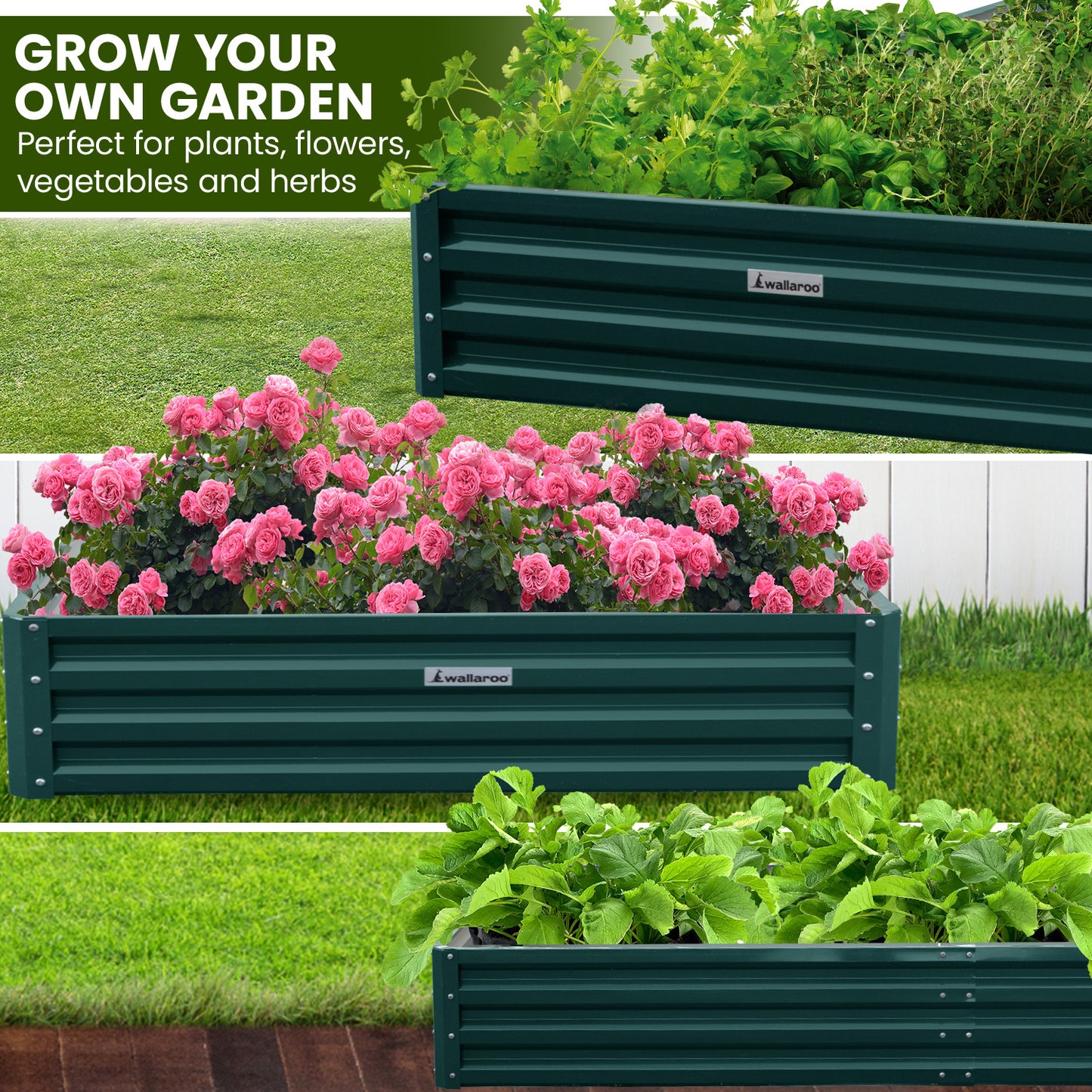 Garden Bed | Wallaroo | 240 x 120 x 30cm | Galvanized Steel - Green