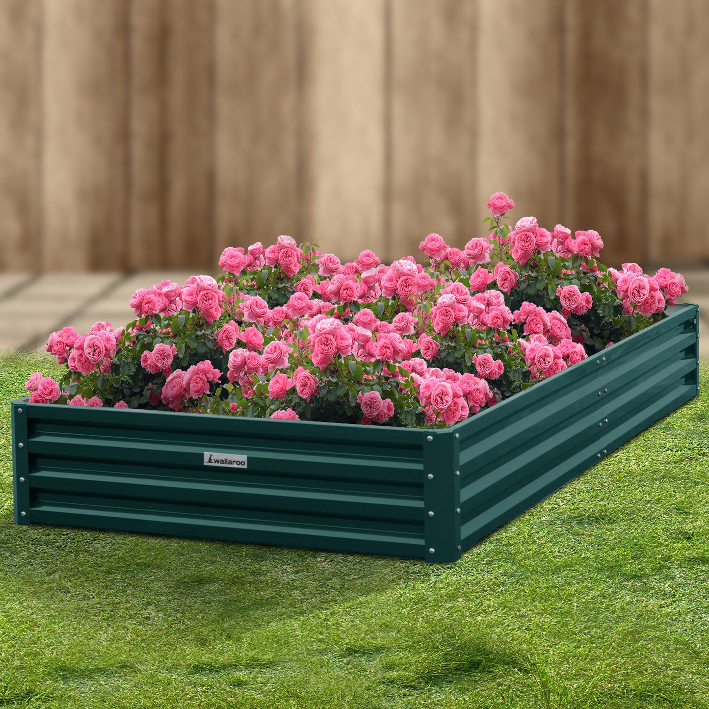 Garden Bed | Wallaroo | 240 x 120 x 30cm | Galvanized Steel - Green